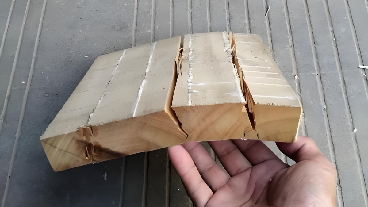 strong adhesion force strong adhesion force